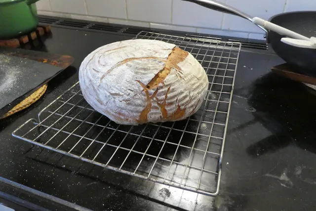 Open crumb baked by Andrew W