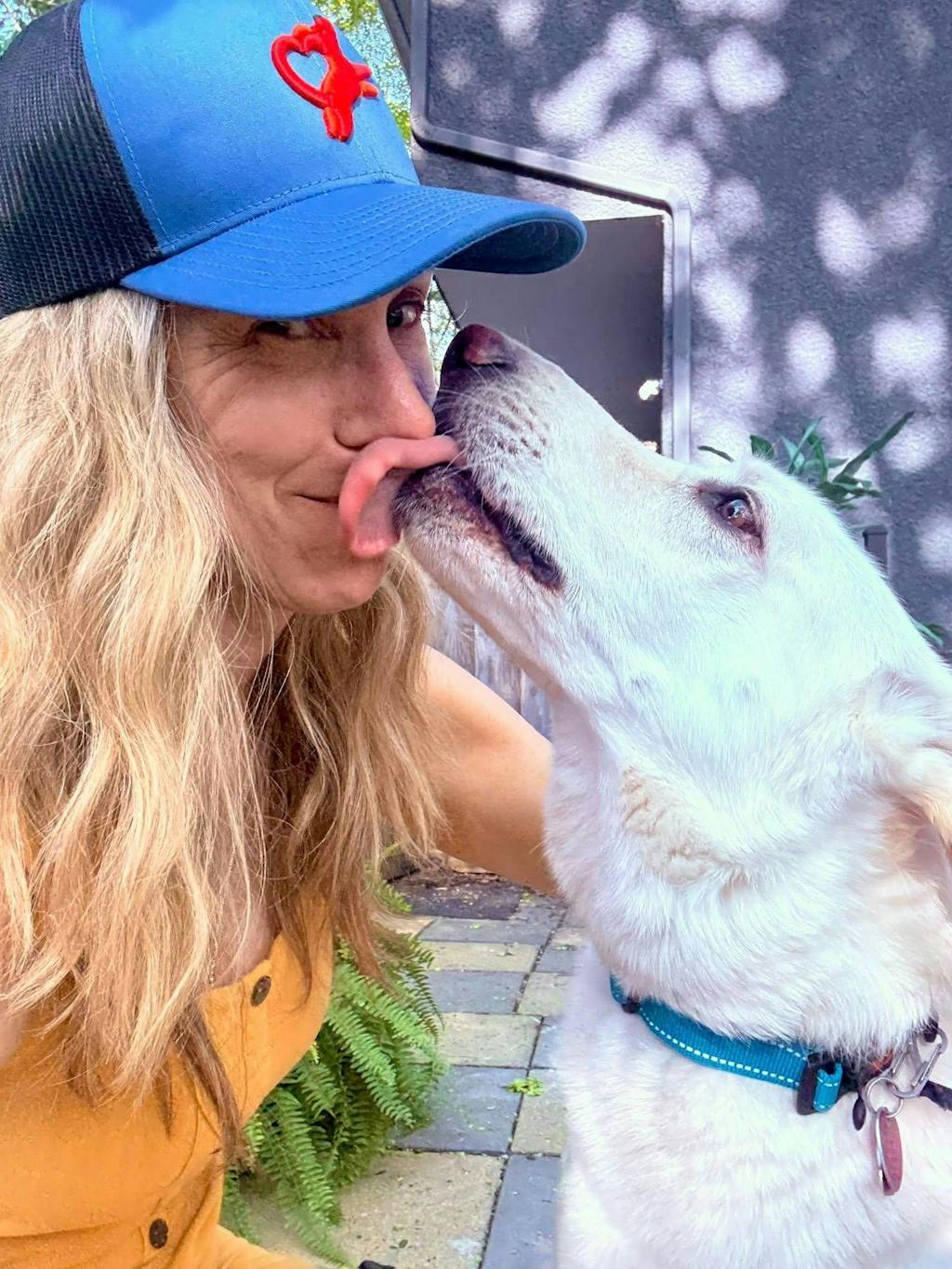 Hero Collar™ - Patented No-Pinch Buckle