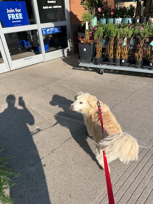 Hero Leash™