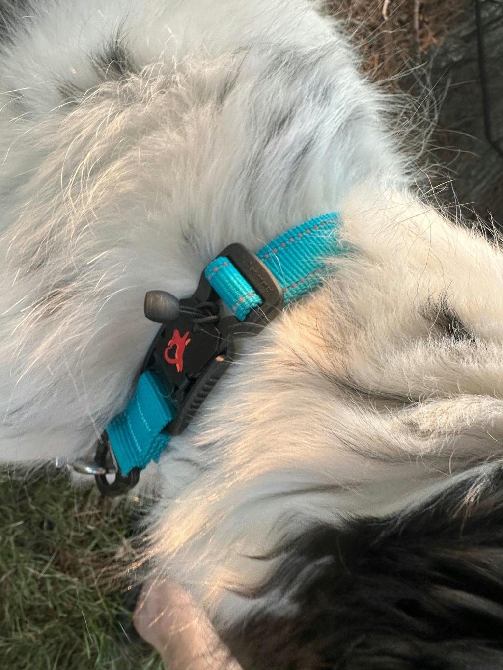 Hero Collar™ - Patented No-Pinch Buckle