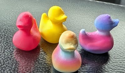 Ducks