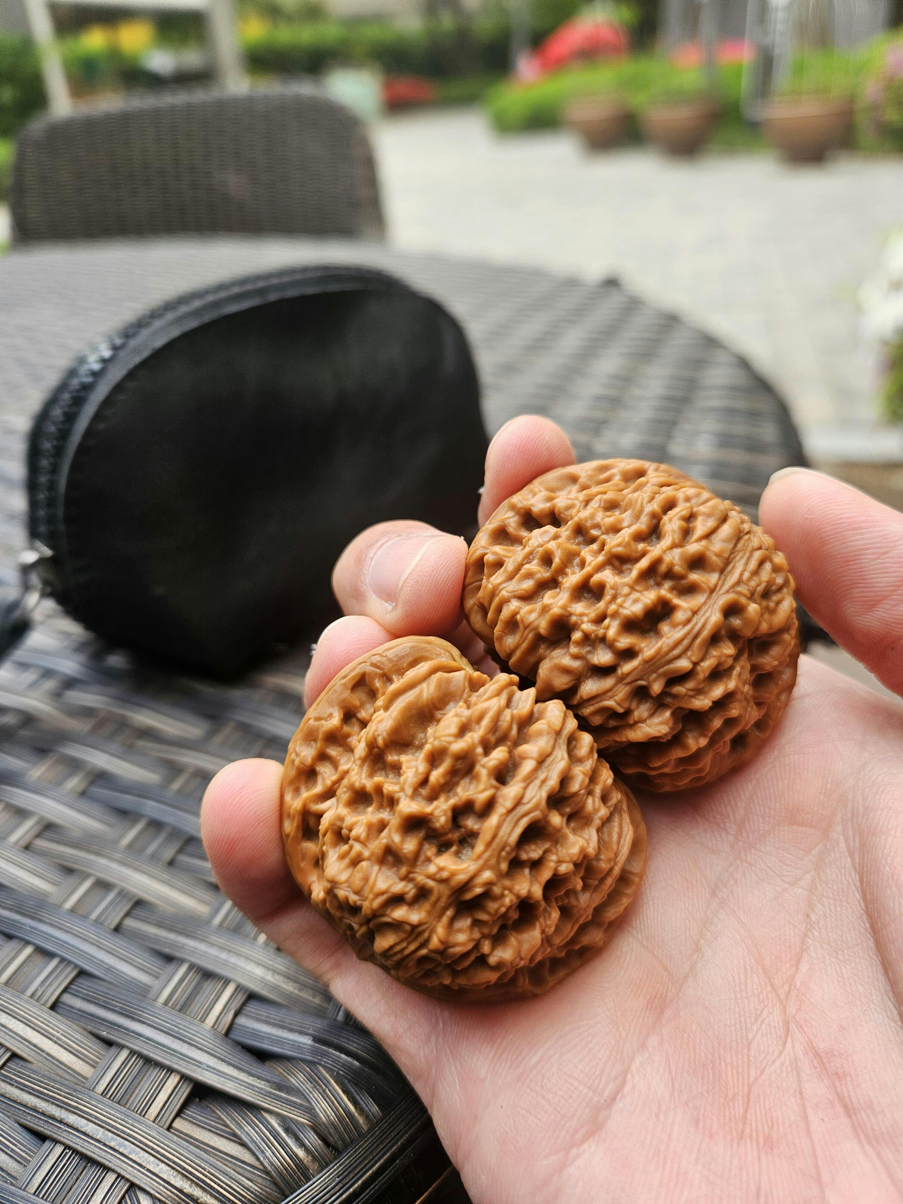 Rare Compressed Blizzard Baixue Wenwan Walnuts - 40x38mm BX-1105