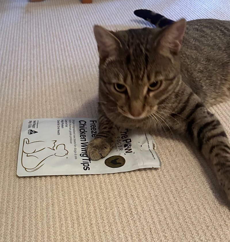 Chicken Wing Tips - 90 grams