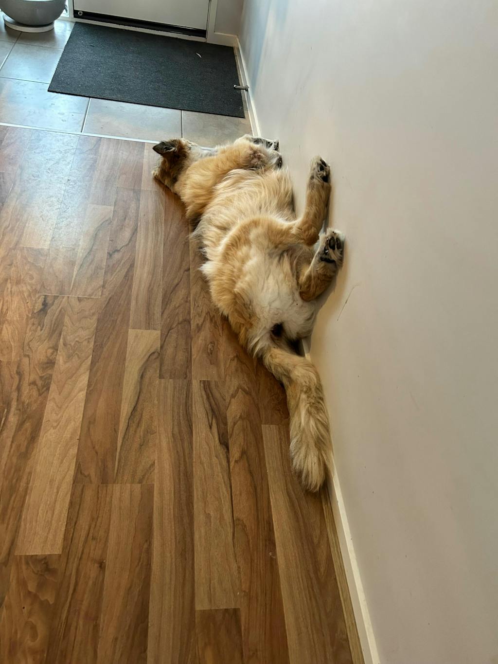 Premium Responsibly Farmed Duck Liver - 72 grams