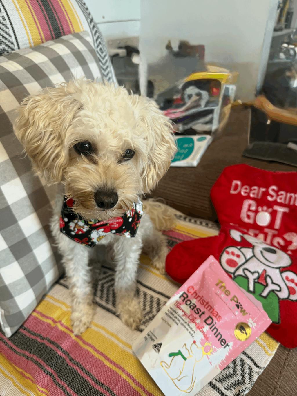 [40% OFF] Big Family Christmas Hamper (UNTIL OUT OF STOCK)