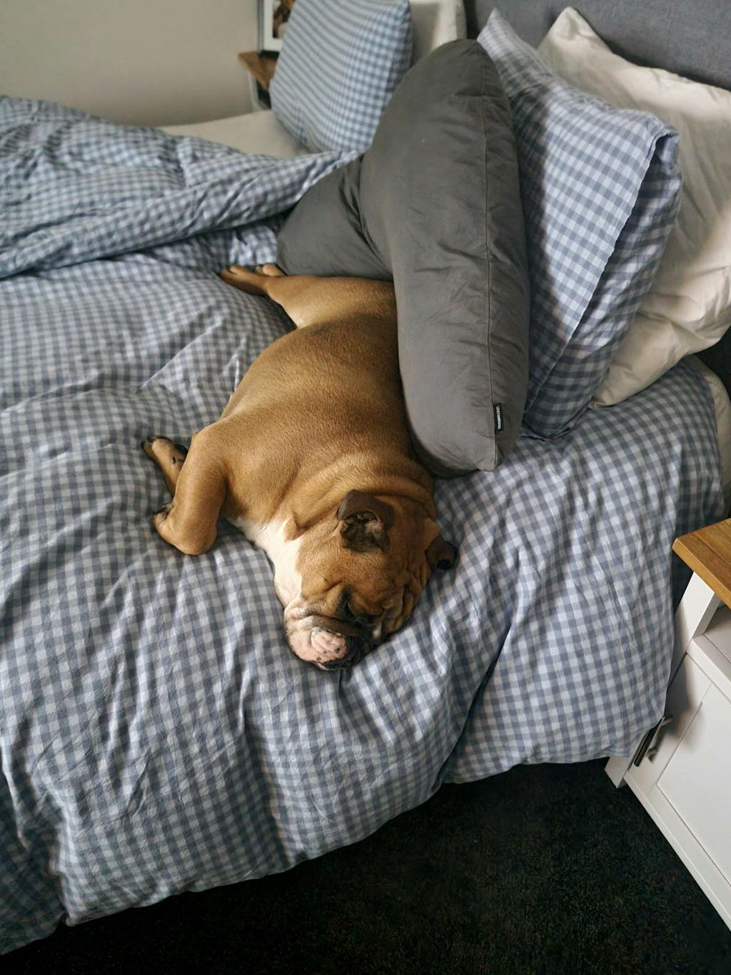 Peanut Butter Bed Time Bikkies - 150 grams