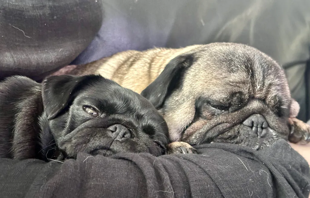 Peanut Butter Bed Time Bikkies - 150 grams