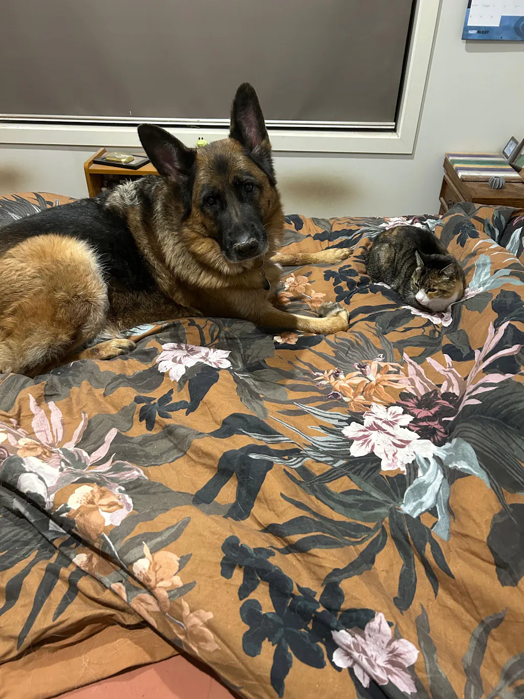 Chicken Necks - 90 grams