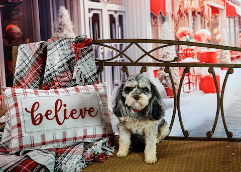 TheraPet Dog Diffuser