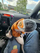 User picture