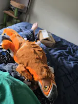 User picture