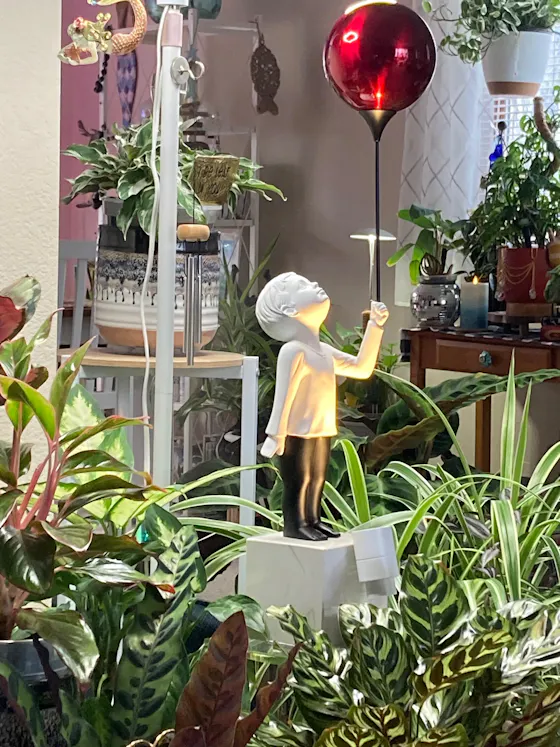 AeroCherub in a customer's home