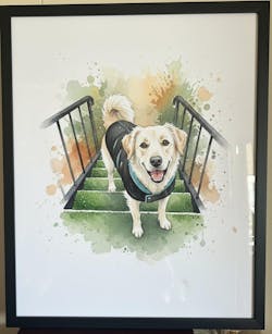 Custom Pet Watercolor Portrait – Personalized Wall Art for Pet Lovers 