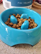 Tohuu Dog Puzzle Bowl Fruit Shaped Dog Bowl Slow Feeder Anti Gulping  Healthy Eating Training Plate Non-skid Pet Bowl Slow Eating Dog Bowls For  Medium Sized Dog manner 