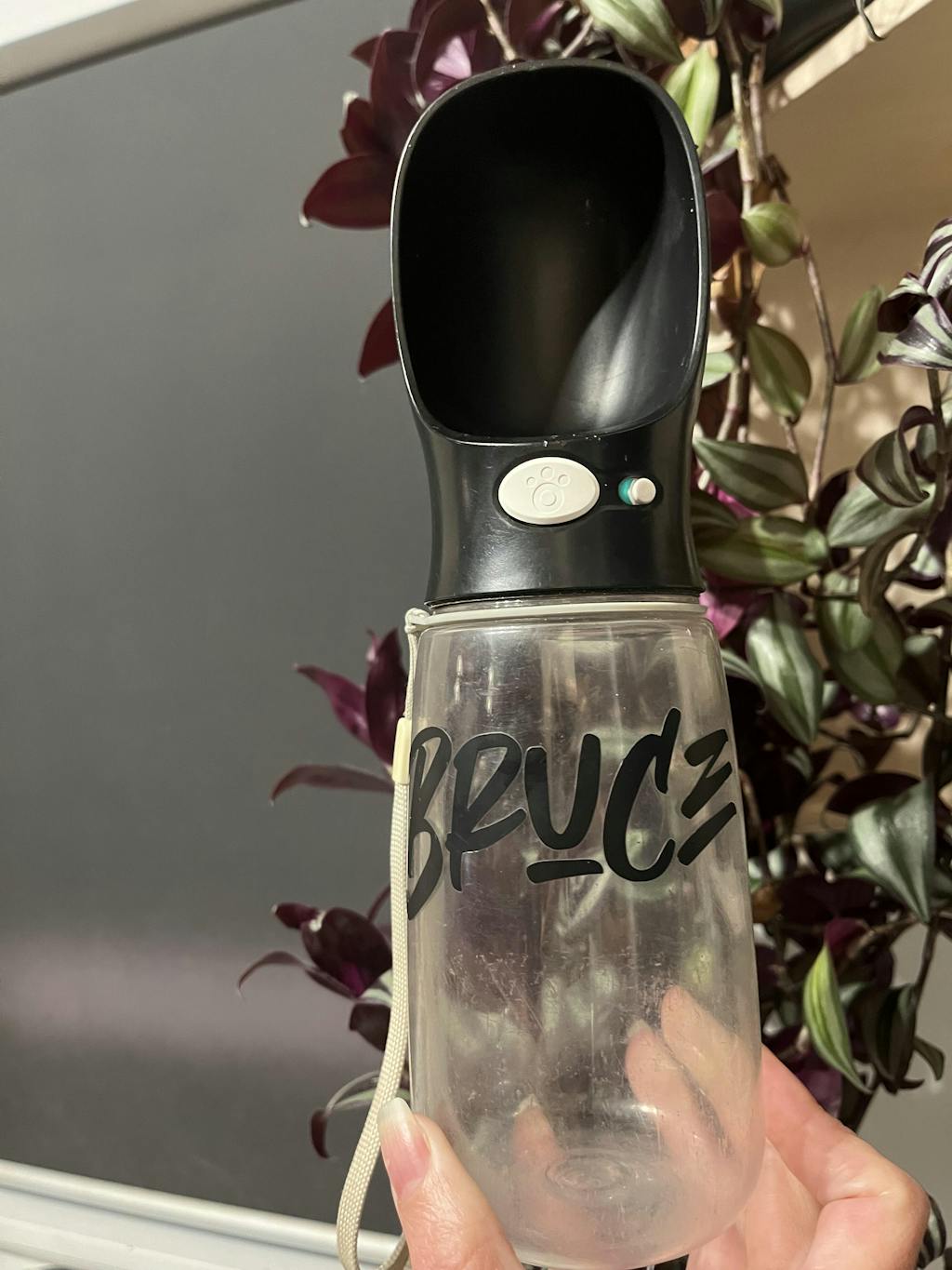 Original Thirsty Dog Bottle Thirsty Dog Bottle