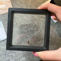 Zierliche Vorhängeschloss Halskette