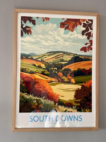 South Downs National Park Art Print