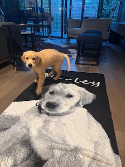Custom Pet Picture Blanket – Merino Wool Blend
