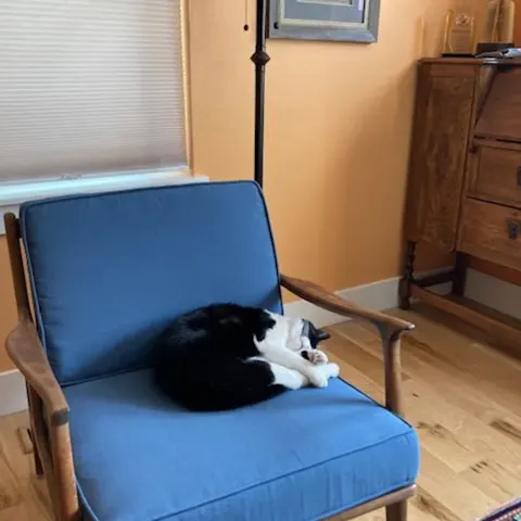 Throwback Furniture Company 