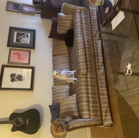 Throwback Furniture Company 