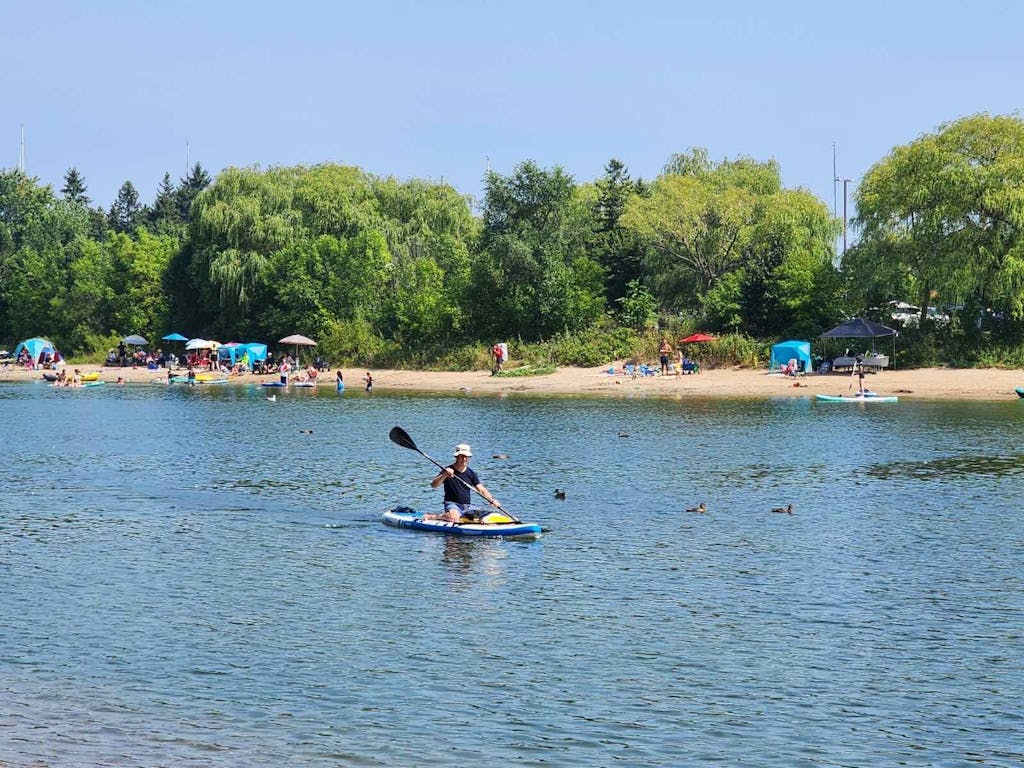 Max 11'6 Multi-purpose Paddle Board 2024