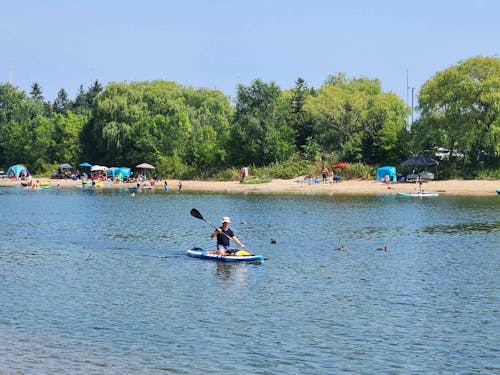 Max 11'6 Multi-purpose Paddle Board 2024
