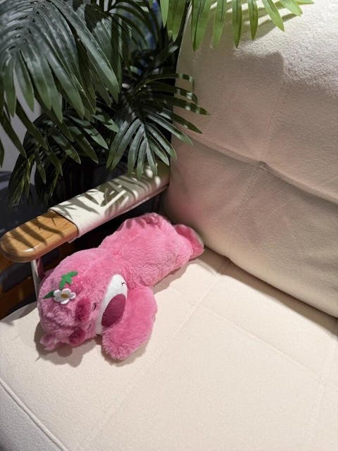 【SNSで2000万回再生！話題のため限定セール】ソファーベッド 2人掛け コンパクト ソファベッド ダブル ソファー ソファ 二人掛け リクライニング 一人暮らし ベッド 折りたたみベッド 簡易ベッド 3way ソファベッド hemw-5427