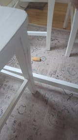 Long Lasting Yak Cheese Chews for X-Large dogs - 3 sticks