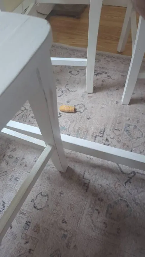 Long Lasting Yak Cheese Chews for X-Large dogs - 3 sticks