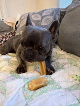 Large Yak Cheese Bulk Chews 2 lbs - Long Lasting Dog Chew