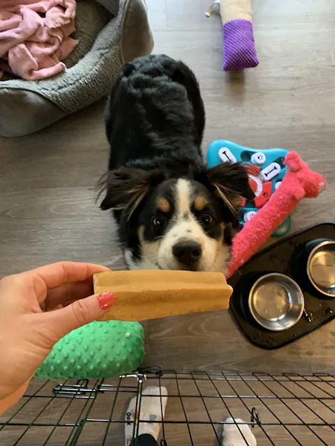 Tibetan Dog Chew Gift Card