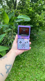 User picture