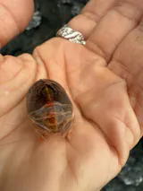 Lovely Taygete - Star of the Pleiades Talismans - Ring 6# size 7 3/4