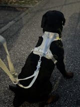 Hundegeschirr Set – inkl. Leine & Beutelhalter