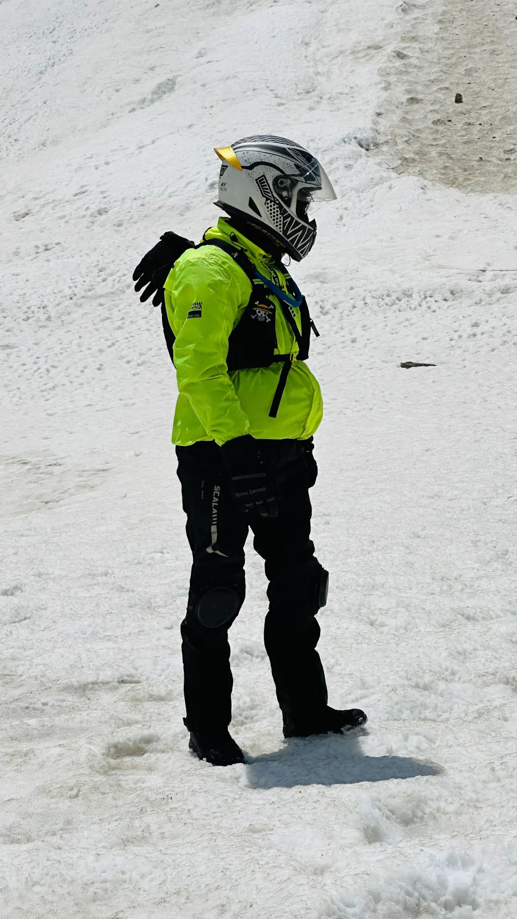 Buzzy Noir - Polar White