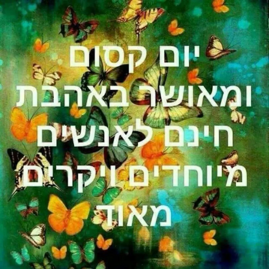 BOND מזוודה בינונית מבד 25"