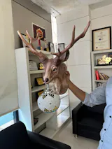 The Luxe Wall Creator - 2 Feet {Approx}