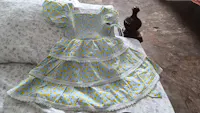 Lemon Garden Smocking Dress