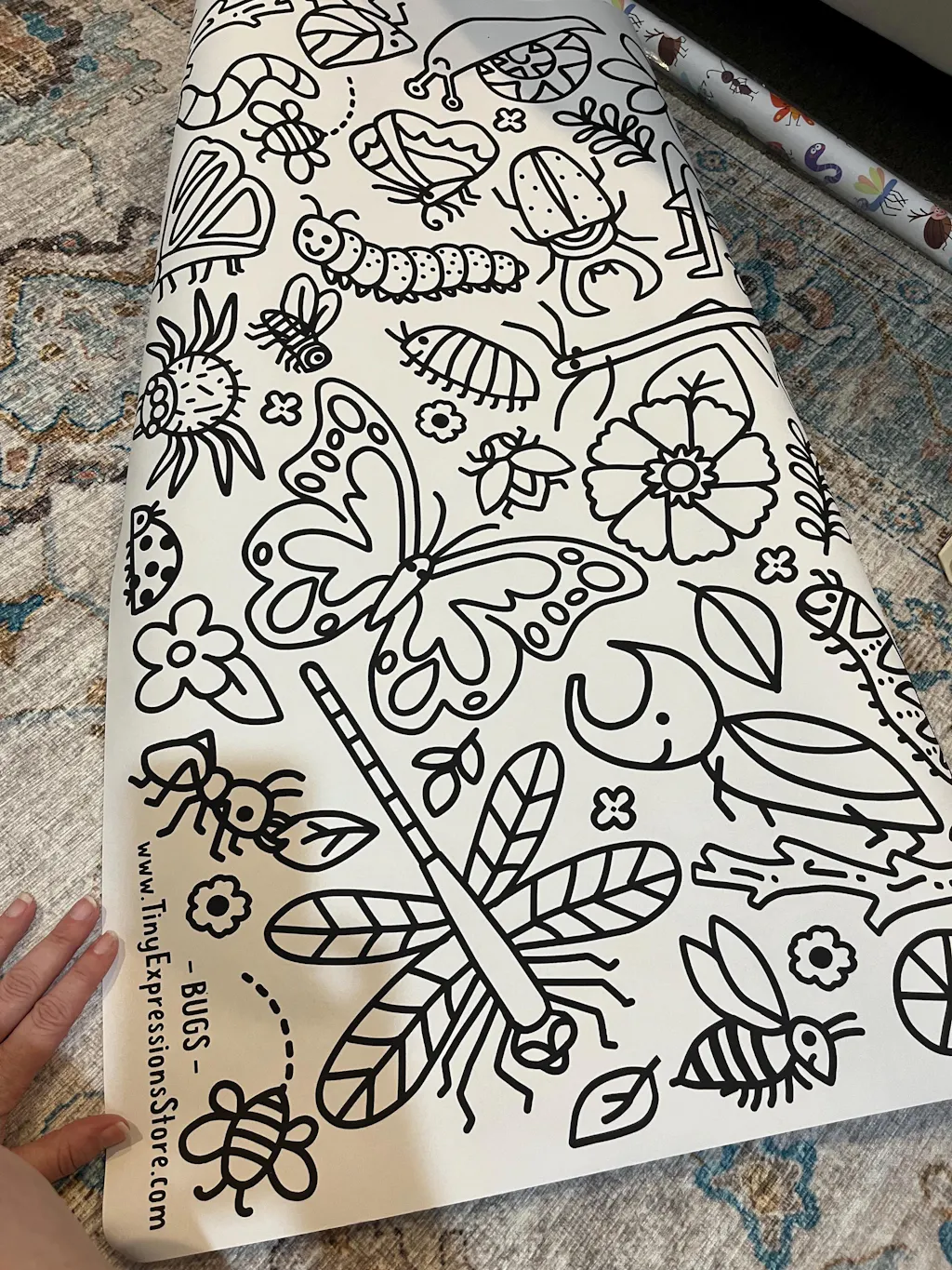 Giant Bugs Coloring Banner