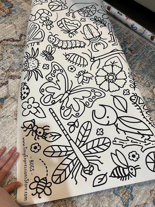 Giant Bugs Coloring Banner