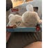 Fisher‑Price Soothe & Settle Bunny Plush