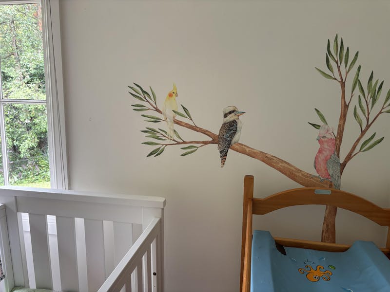Australian Gum Tree Branch & Bird Wall Decals