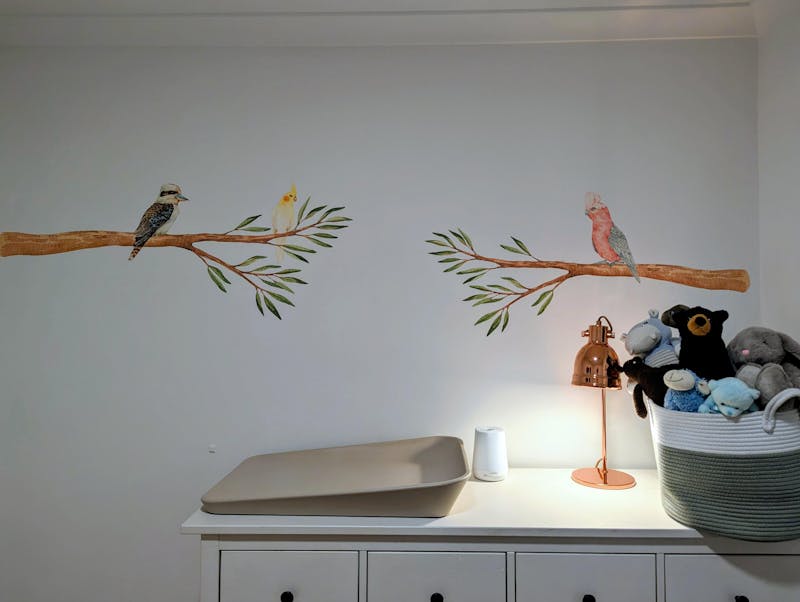 Australian Gum Tree Branch & Bird Wall Decals
