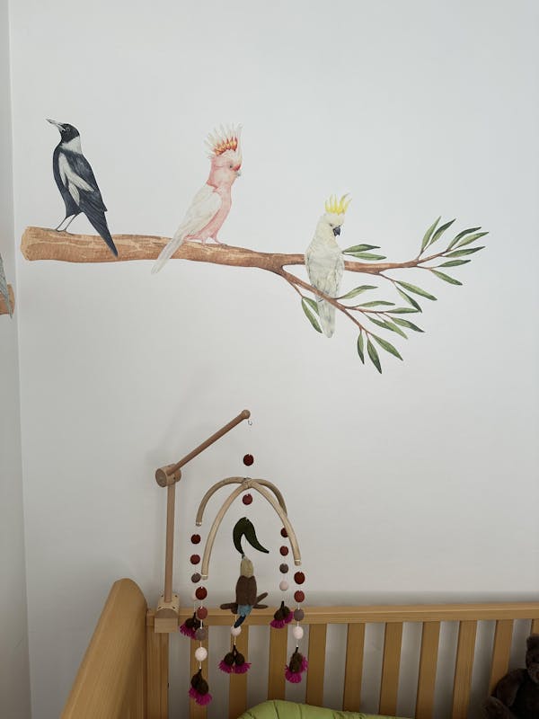 Australian Bird Trio Wall Decals (Pink & Yellow Cockatoos + Magpie)