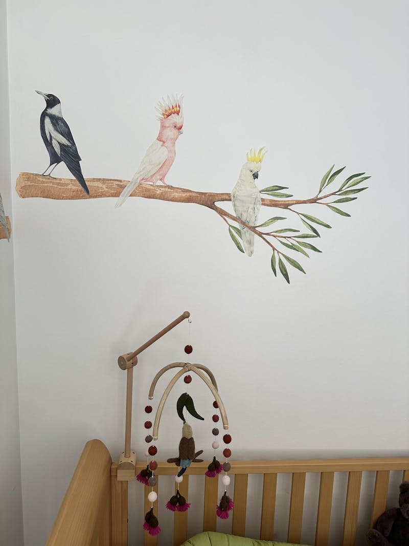 Australian Bird Trio Wall Decals (Pink & Yellow Cockatoos + Magpie)