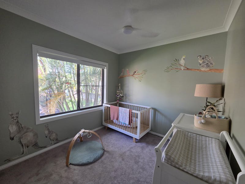 Australian Gum Tree Branch & Koalas Wall Decals