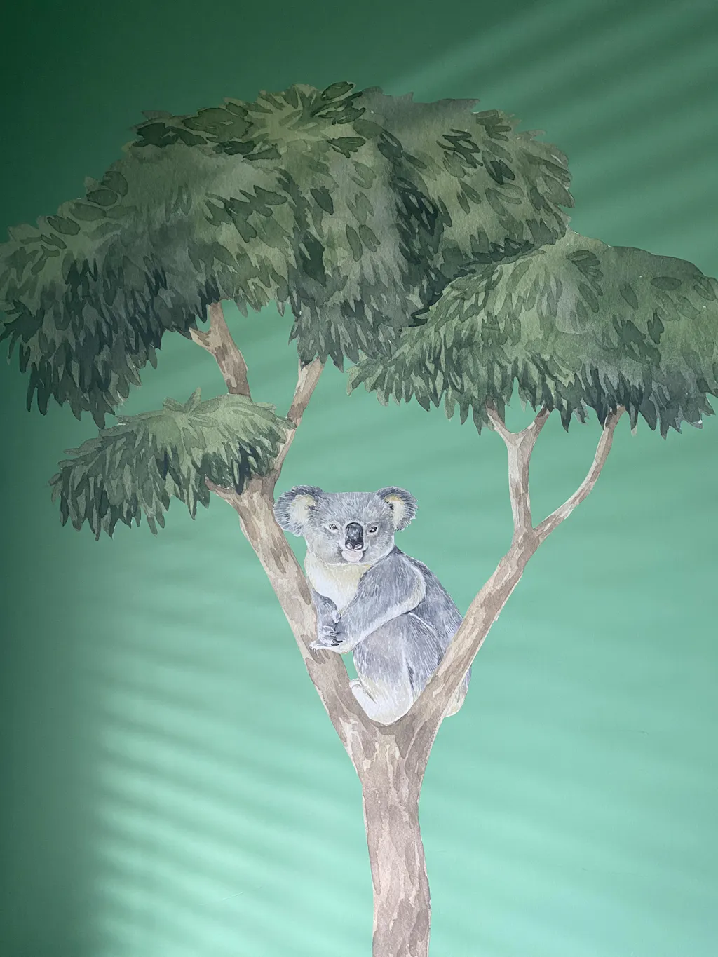 Australian Gum Tree Wall Decal Bundles