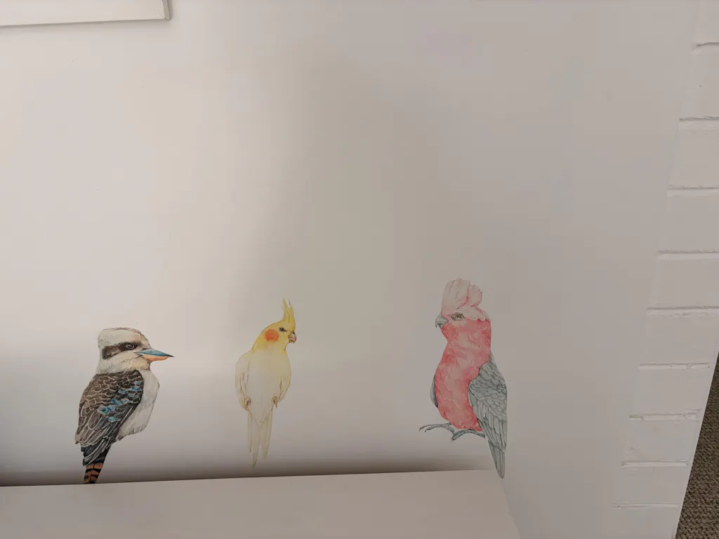 Australian Bird Trio Wall Decals (Cockatiel, Kookaburra & Galah)