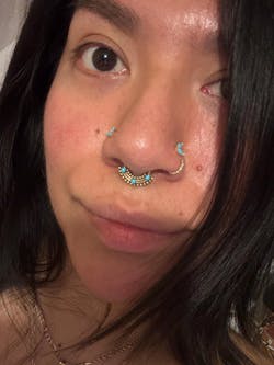 Onyx Septum Ring Surgical Steel