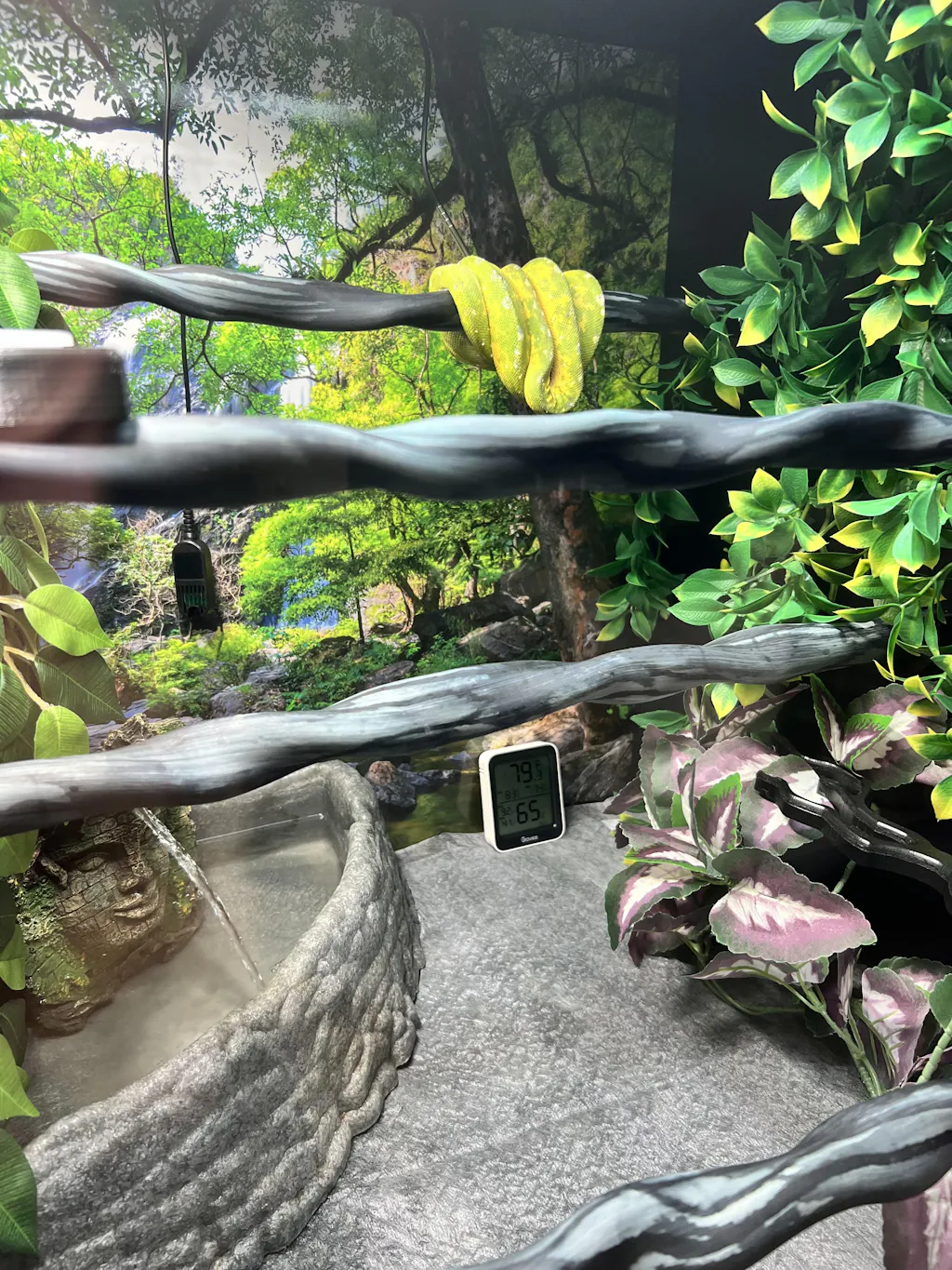 2'x2'x2' | Premium HDPE & PVC Reptile Enclosure | 2 Foot Luxury
